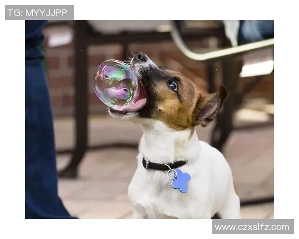 足球明星玩具大全图片展示让你领略球场魅力与童趣结合的完美瞬间 足球明星玩具大全图片展示让你领略球场魅力与童趣结合的完美瞬间