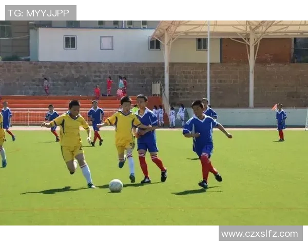 周敏独家：分享足球心得