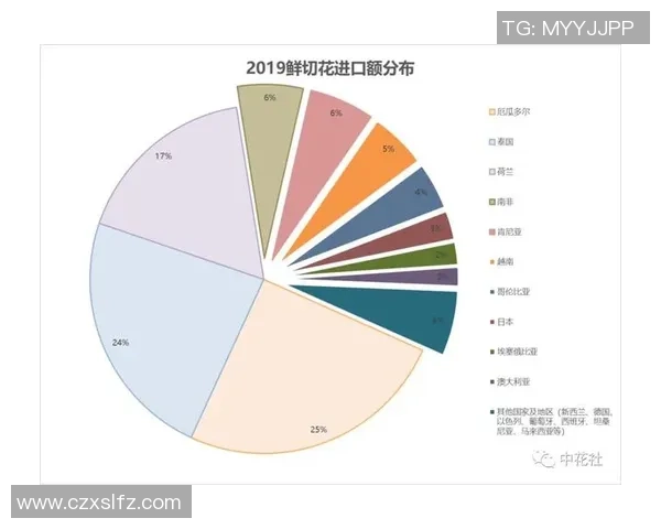独家分析：西安排球队的灵活性对比